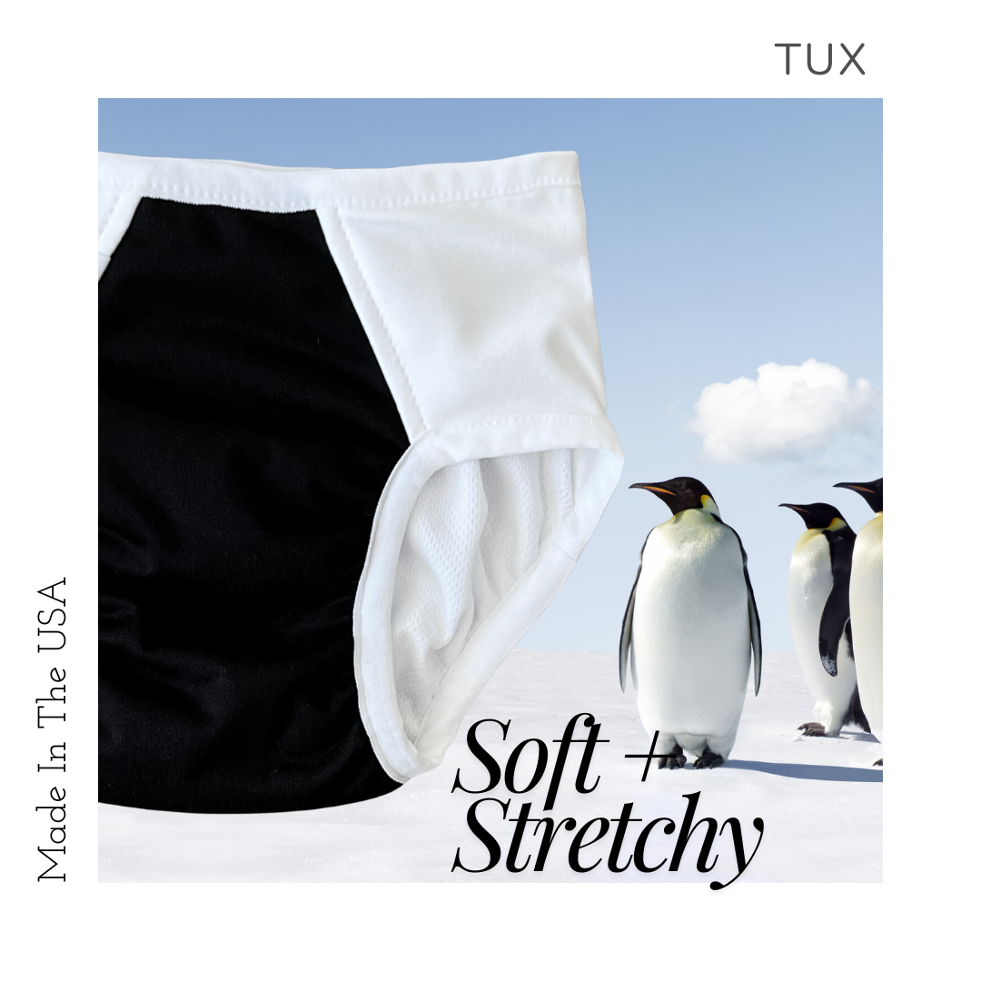 Fearless Tiny Trainers